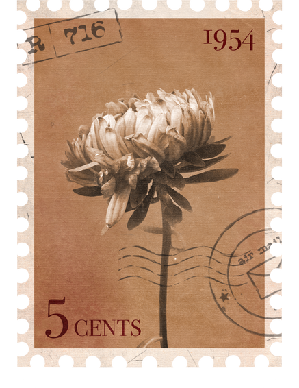 Floral vintage Postage Stamp with flower